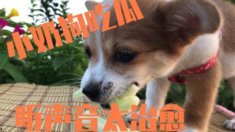 娱乐圈疑云 