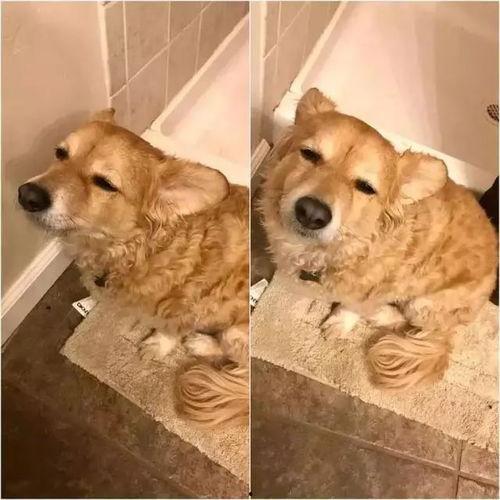 娱乐圈疑云 