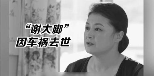 娱乐圈疑云 